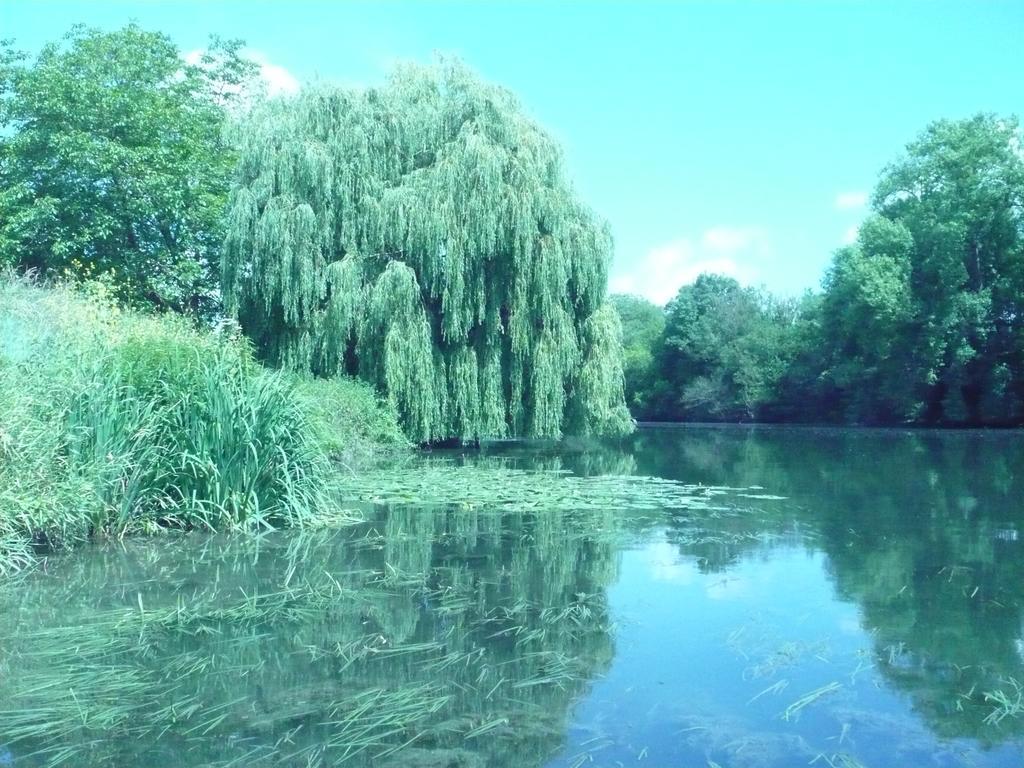 Le Havre De Bennecourt Bed and Breakfast Buitenkant foto